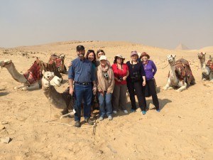 egyptcamels
