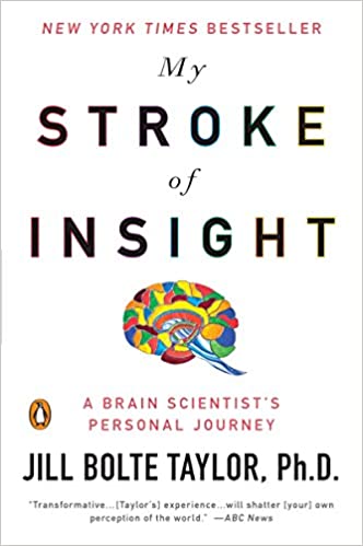 Stroke of Insight