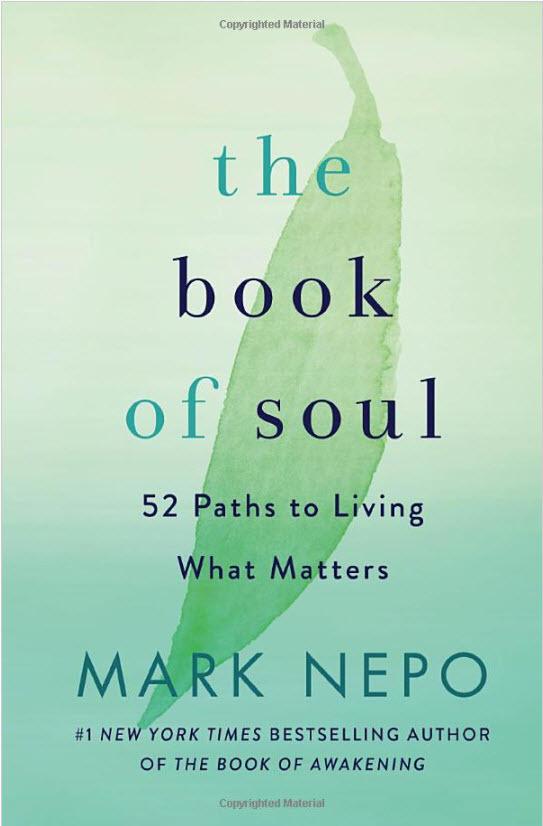 marknepobook