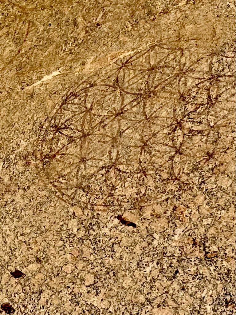 Flower of life egypt 2022