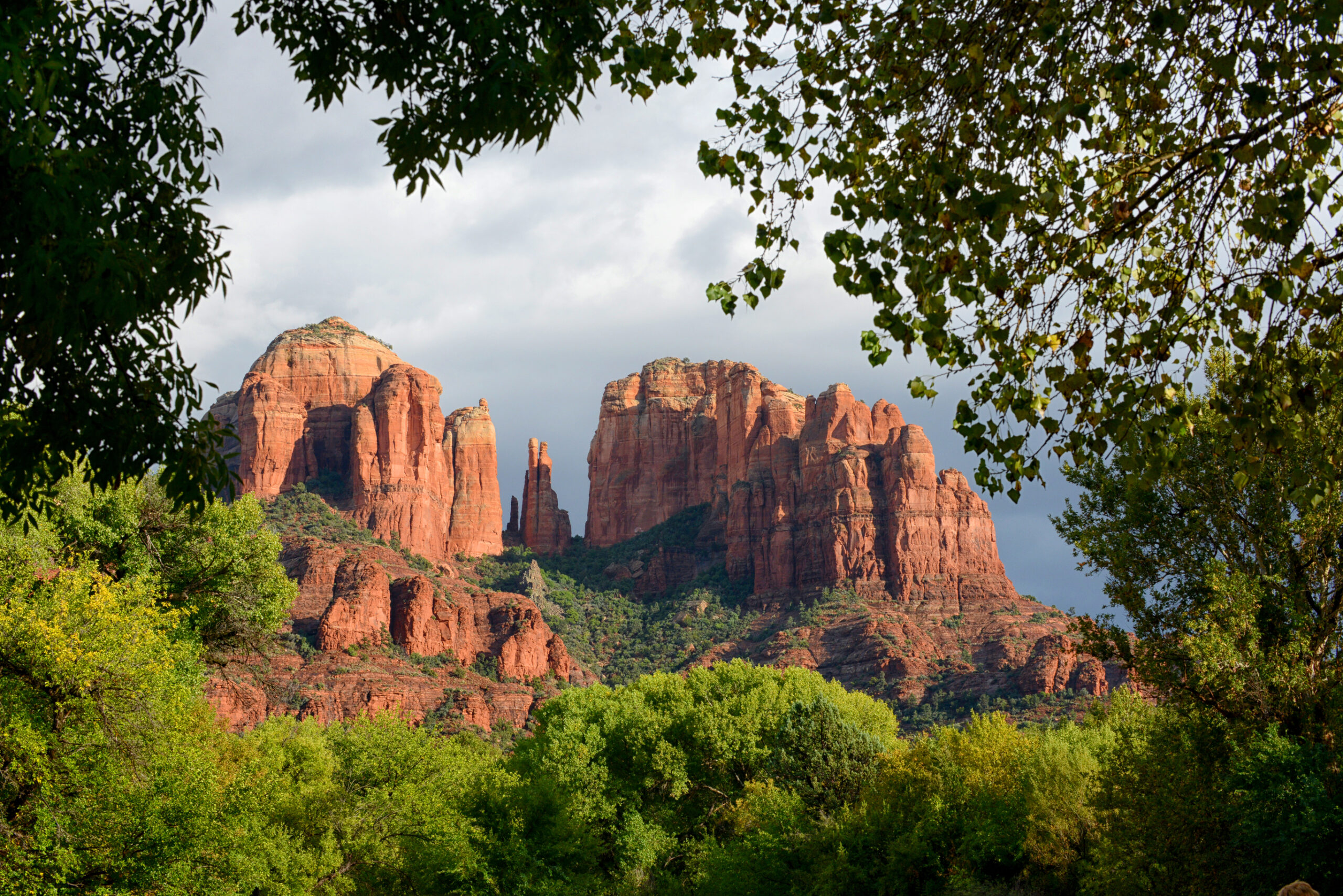 Sedona Vortex Sedona Vortex